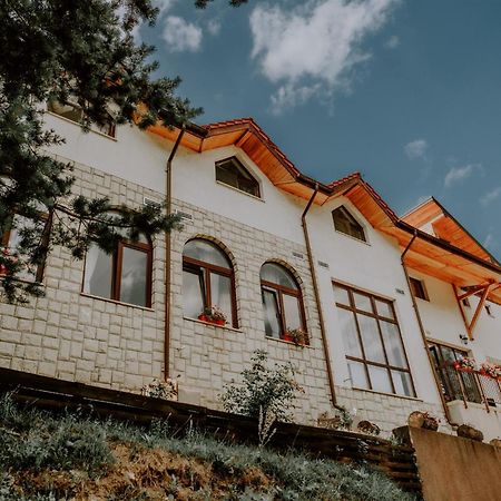Pensiunea Poiana Verde Szlanikfürdő Kültér fotó