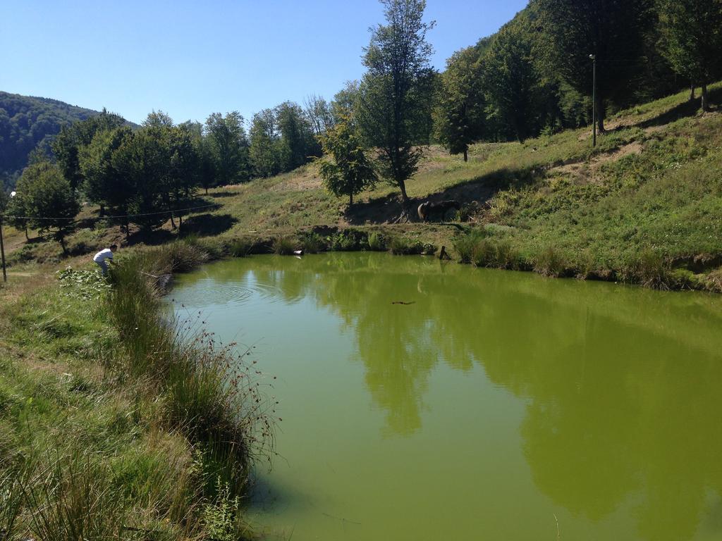 Pensiunea Poiana Verde Szlanikfürdő Kültér fotó